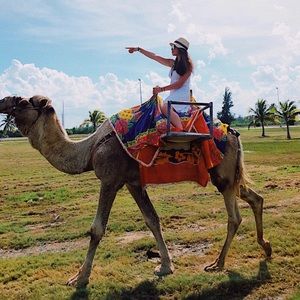 Meet your Posher, Rachel